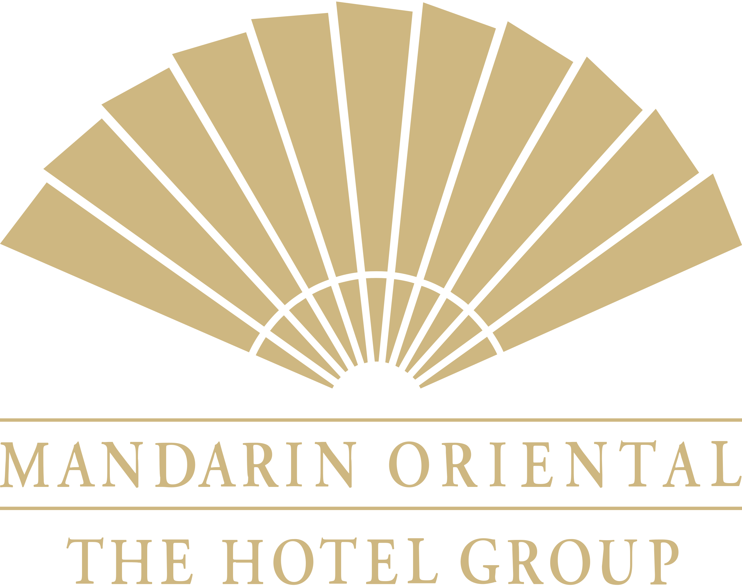 LHC_CLIENT_Mandarin_Oriental_Hotel_Group